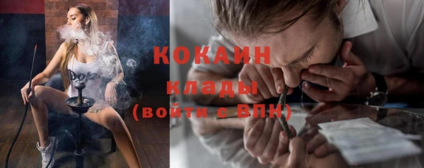 гидра Аркадак