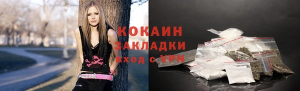 гидра Аркадак
