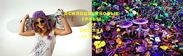 MDMA Premium VHQ Магадан