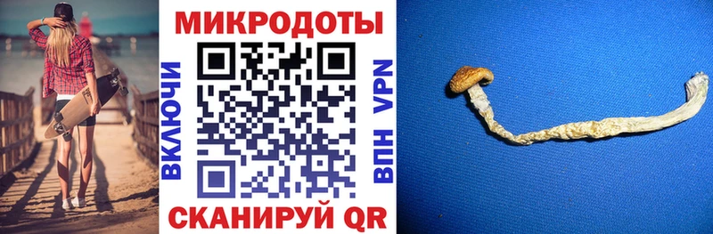 Псилоцибиновые грибы GOLDEN TEACHER  где купить наркоту  kraken ONION  Ладушкин 