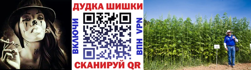 МАРИХУАНА конопля  как найти наркотики  Ладушкин 
